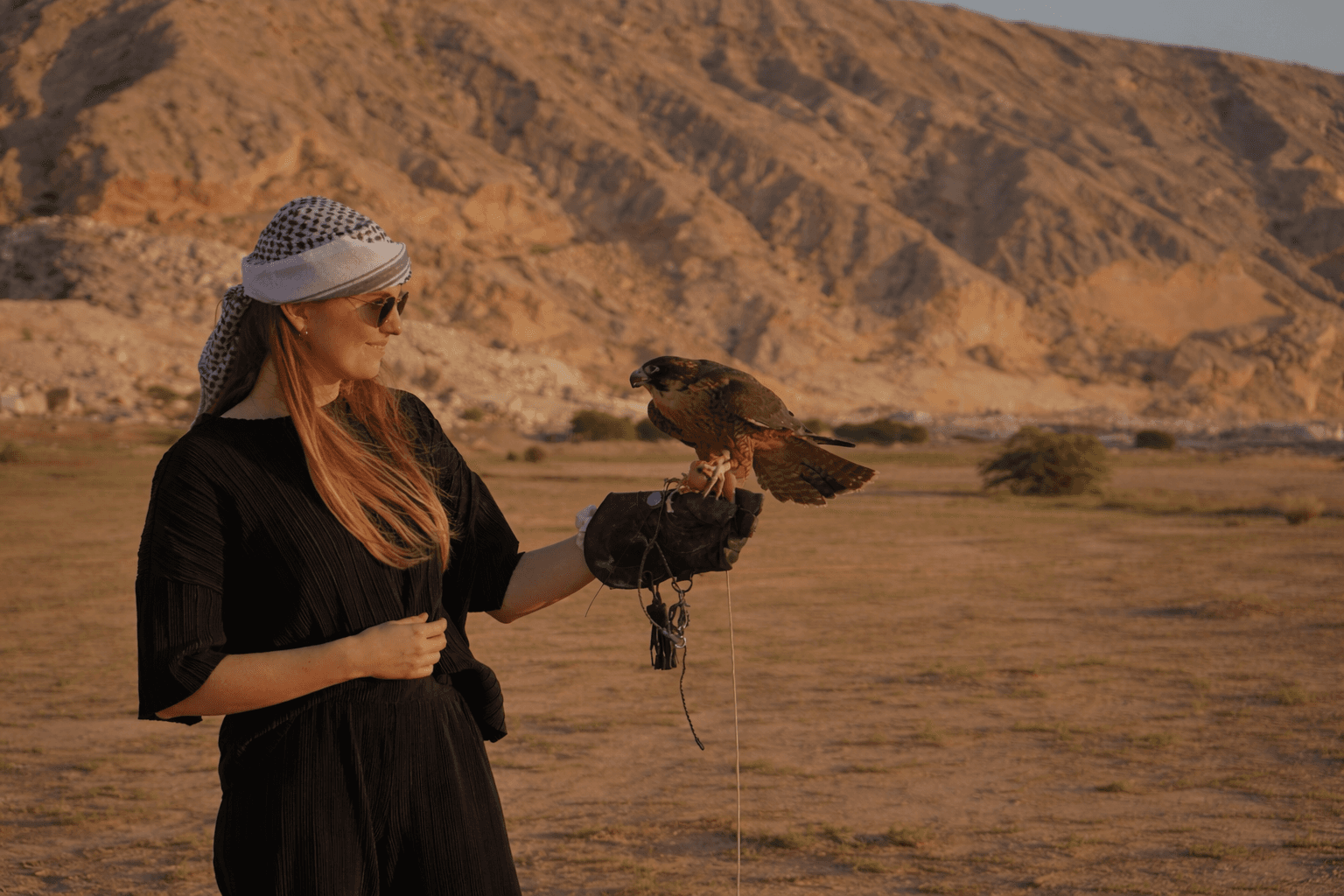 Guest enjoying falconry experience in Mleiha desert at Zerzura Experiences near Dubai