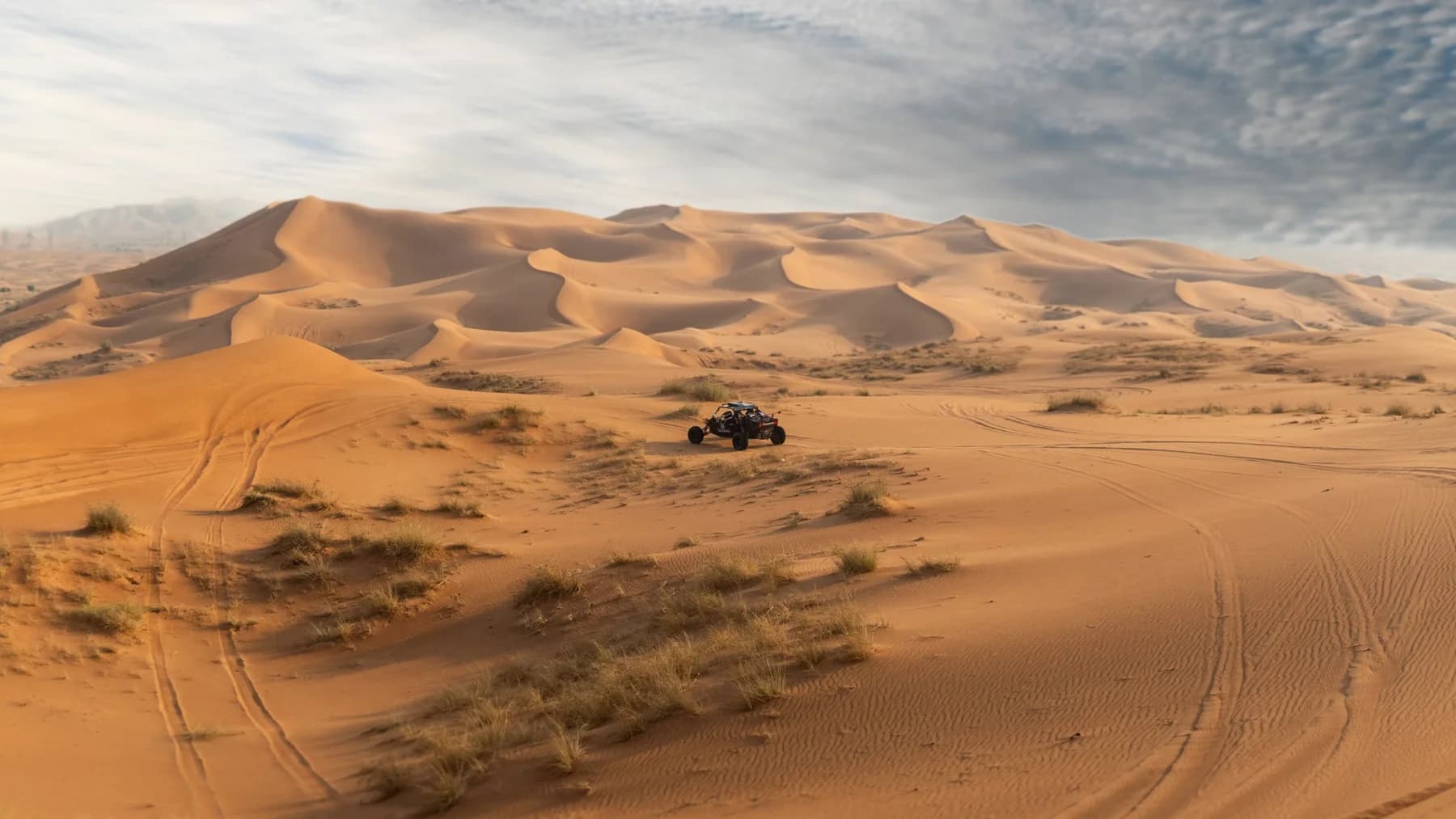 Open dunes and desert landscape in Mleiha