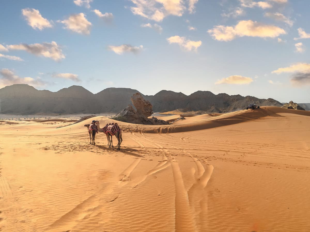 Sandboarding at Camel Rock Sharjah